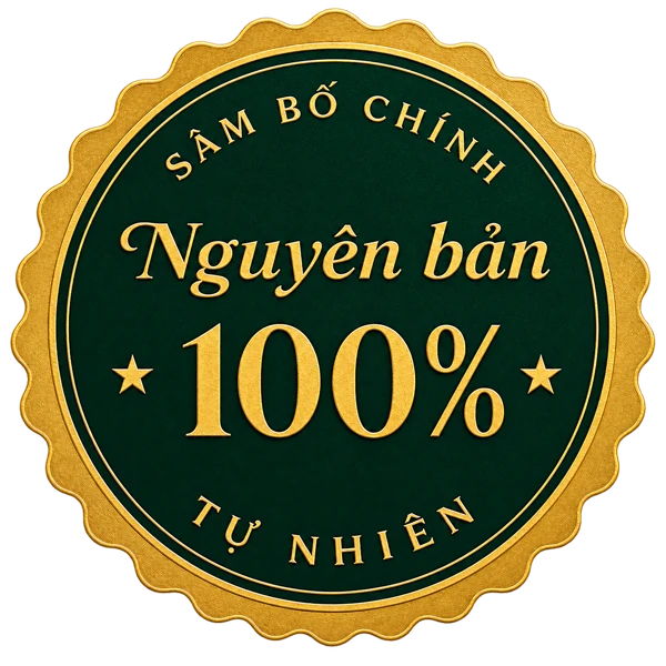Sâm Bố Chính – Nguyên bản 100% tự nhiên